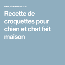 Recette De Croquettes Pour Chien Et Chat Fait Maison Croquette Pour Chien Croquette Pour Chat Croquettes