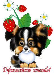 Похожее изображение