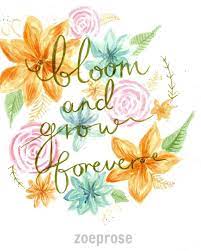 Edelweiss Sound Of Music Quote Print 39 Bloom And Grow Forever 39 Sound Of Music Quotes Bloom Quotes Edelweiss Sound Of Music
