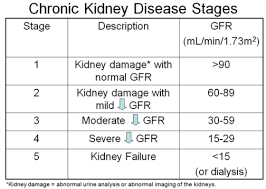 Pin On Happy Kidneys