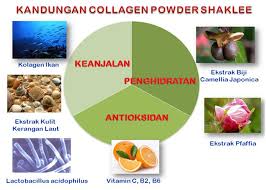 Hasil carian imej untuk collegen powder shaklee