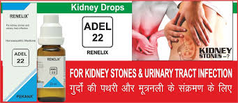 Homeopathic Medicine For Kidney Stone Urinary Tract Infection In 2020 Urinary Tract Homeopathic Medicine Urinary Tract Infection