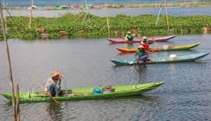 Tidak seperti kolam ikan lain yang pernah anda temui, kolam ikan sakti tampak bersih terawat, layaknya kolam renang. Legenda Ikan Sakti Sungai Janiah Jalan Jalan Terus