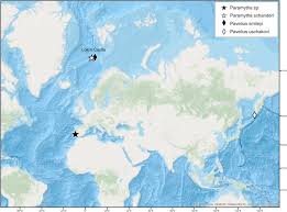 With sam vincent, kazumi evans, brian drummond, trevor devall. New Species Of Ampharetidae Annelida Polychaeta From The Arctic Loki Castle Vent Field Sciencedirect