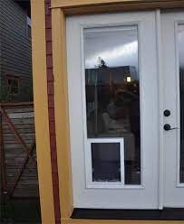 Old style pet panel systems are not installed in the door glass. In The Glass Maxseal Pet Door Through Glass Dog Door Pet Door For Glass Doors Sliding Glass Pet Door Dog Door Installation Pet Door Sliding Glass Door Pet Door