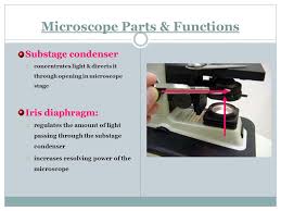When you switch to a higher power, the field of view closes in towards the center. Microscope Lab Objectives Identify The Parts Of Dissecting And Compound Light Microscope And Give Their Functions Coordinate Their Use To Accurately Ppt Download