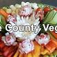 Lake County Organic Vegan Freedom Potluck in the Park