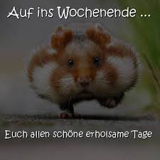 Auf Ins Wochenende Euch Spruche Zitate Und Gedichte Facebook