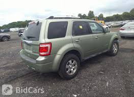 Image result for Kiwi Green 2010 Escape