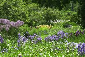 Gardening cannot be properly done without being able to dispose of harmful bugs in your plants and crops. Pesticide Free Gardening Space For Life