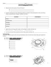 Eukaryotic cells are more complex than prokaryotic cells and have more structures that can take in the stains. Biology Chapter 7 Name Class Date 7 1 Life Is Cellular Lesson Objectives State The Cell Theory Describe How The Different Types Of Microscopes Work Course Hero