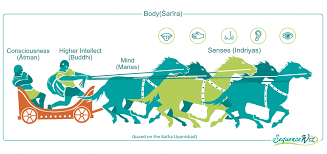 Yoga For Your Mind Archives Page 6 Of 14 Sequence Wiz