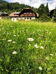 Das haus kärnten verfügt über einen garten und einen skiraum. Bad Kleinkirchheim Osterreich Berge Wellness Genuss Travel On Toast Karnten Urlaub Osterreich Urlaub Bad Kleinkirchheim