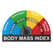 Bmi Or Body Mass Index Infographic Chart Stock Vector