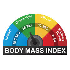 bmi or body mass index infographic chart stock vector