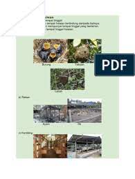 Apabila ada yang kurang berkenan. Tempat Tinggal Haiwan