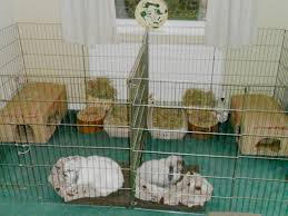 Check out our 9 diy rabbit hutch ideas and find the best option for your furry friend. Housing Ideas Best 4 Bunny