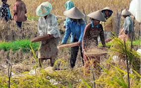 Hasilnya tersebut adalah bahan makanan. 8 Contoh Kegiatan Ekonomi Di Masyarakat Dan Pekerjaannya