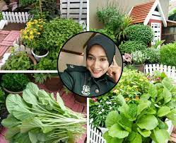 Basikal buruk kat rumah jangan buang ye, boleh diy untuk jadikan hiasan kat laman rumah. Rezeki Buat Kebun Tepi Rumah Siapa Sangka Pernah Terima Kunjungan Orang Istana Keluarga