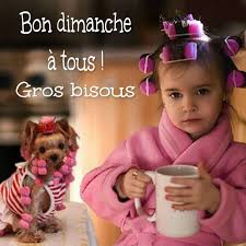 Bon dimanche à tous ! Gros bisous | Bonne journée humour, Dimanche humour, Bon dimanche