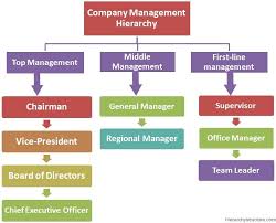 Company Management Hierarchy Company Structure