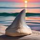 Shark Tooth Island event image
