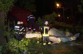 Adăpost de animale distrus în urma unui incendiu. Cvbwuwzsloyewm