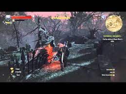 To see a quest walkthrough, click on the quest name. The Witcher 3 Hearts Of Stone How To Solve Master Mirror S Riddle Youtube