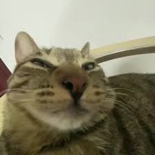 images?q=tbn:ANd9GcTLJ8JkDd3Mv4fIxgcAHbAbQHnTTdwaz-7a0w&s