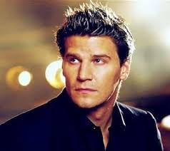 David Boreanaz turns 56 years old