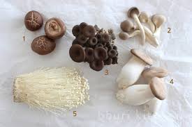 China colombia croatia cyprus czech republic denmark ecuador egypt estonia finland france georgia germany greece hong kong hungary india indonesia ireland israel italy japan kazakstan korea, republic of. Korea S Most Common Mushrooms Bburi Kitchen