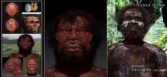 By thilo parg via figure 1. Bringing Hominin Fossils Back To Life Interview With Paleoartist John Bavaro Nutcracker Man