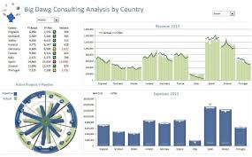 A Consulting Firm Excel Dashboard Charts Excel