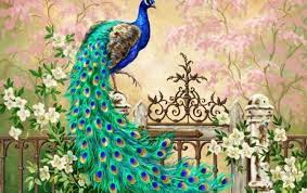 Pretty Peacock Garden Gate Wallpapers Peacock Wallpaper Peacock Wall Art Peacock Painting