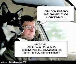 Un giorno un cane prendeva in giro le tartarughe perché erano lente. Chi Va Piano Va Sano E Va Lontano No Chi Va Piano Rompe Il Cazzo A Chi Sta Dietro Facciabuco Com