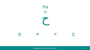Alphabetical order is a system whereby character strings are placed in order based on the position of the characters in the conventional ordering of an alphabet. The Arabic Letter Ha ïº¡