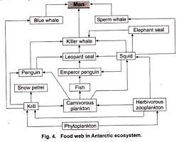 ecosystem with diagram