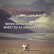Du Wirst Vielleicht Enttauscht Sein Wenn Du Es Versuchst Und Scheiterst Aber Du Hast Bereits Verloren Wenn Du Es Nie Versuchst Zitate Wahre Worte Weisheiten