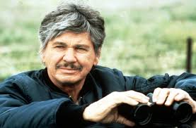 Filmografie Joshua Culp