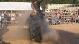 Great Lakes Rodeo