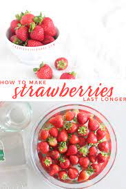 Check spelling or type a new query. How To Make Your Strawberries Last Longer Fabulessly Frugal