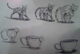 Metamorphosis Drawing (Art Project) By Autumnspiritfriend On Deviantart