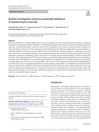 Fahmi nasrullah agama apa : Schematic Representation Of The Human De Novo Downstream And Salvage Download Scientific Diagram