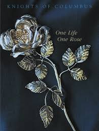 This rose has mild to strong fragrance. Pilgrimage Of The Silver Rose Knights Of Columbus