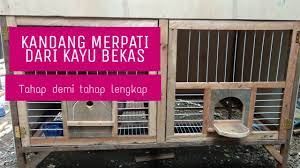 Namun, satu hal yang pasti adalah semakin pintar merpati tersebut, maka harganya juga semakin mahal. Tutorial Membuat Kandang Merpati Youtube