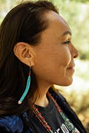 NAIMS: Visions and Voices