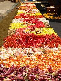 The corpus christi metropolitan statistical area is a metropolitan area in south texas that covers three counties—aransas, nueces, and san patricio. Corpus Christi Flower Carpets Tenerife 2011 Feast Of Corpus Christi Happy Feast Floral Carpet