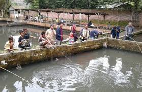 Kolam Pemancingan Tertua Di Malang Ramai Dikunjungi Saat Tahun Baru Cendana News