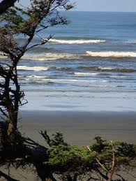 119 Best Ocean Shores Images Ocean Shores Ocean Ocean