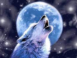 Фото волка воющего на луну